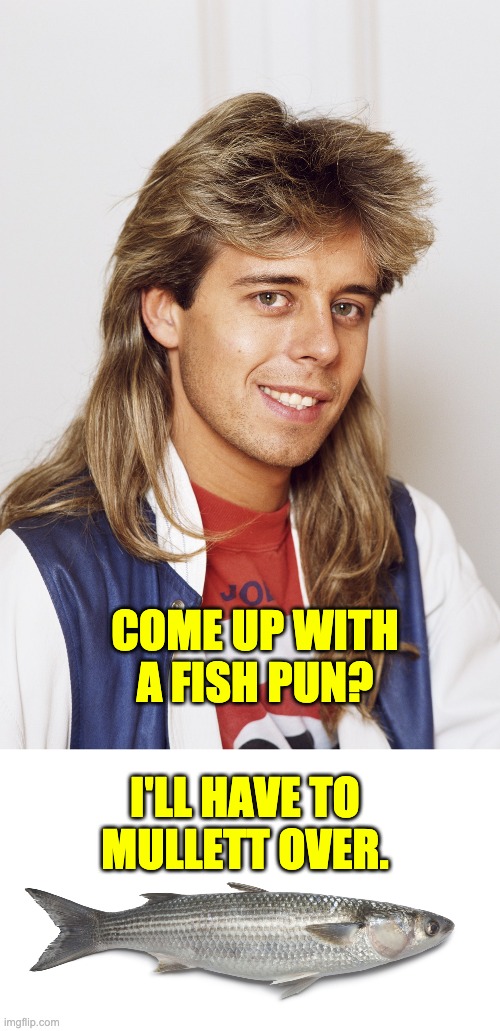 Mullett | COME UP WITH A FISH PUN? I'LL HAVE TO MULLETT OVER. | image tagged in bad pun | made w/ Imgflip meme maker