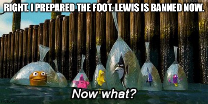 Now What? | RIGHT. I PREPARED THE FOOT. LEWIS IS BANNED NOW. | image tagged in now what | made w/ Imgflip meme maker