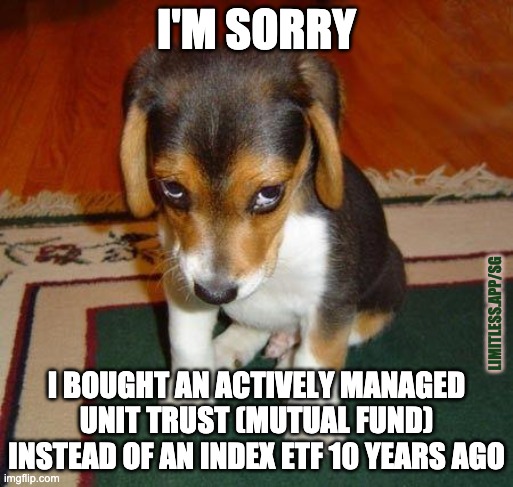 All those management fees and extra costs, compounding year after year... | I'M SORRY; LIMITLESS.APP/SG; I BOUGHT AN ACTIVELY MANAGED UNIT TRUST (MUTUAL FUND) INSTEAD OF AN INDEX ETF 10 YEARS AGO | image tagged in sad puppy,personal finance,compounding,etf,limitless,mutual funds | made w/ Imgflip meme maker