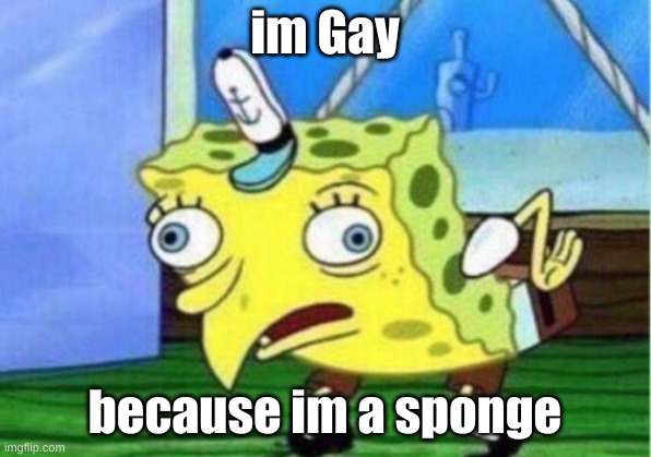 Mocking Spongebob | im Gay; because im a sponge | image tagged in memes,mocking spongebob | made w/ Imgflip meme maker