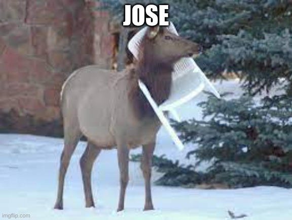jose the stuck llama | JOSE | image tagged in jose | made w/ Imgflip meme maker