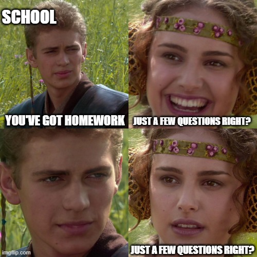 homework [page 1 of 99] | SCHOOL; YOU'VE GOT HOMEWORK; JUST A FEW QUESTIONS RIGHT? JUST A FEW QUESTIONS RIGHT? | image tagged in anakin padme 4 panel | made w/ Imgflip meme maker