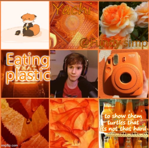 Yachi's fundy temp | Eating plastic; to show them turtles that its not that hard | image tagged in yachi's fundy temp | made w/ Imgflip meme maker