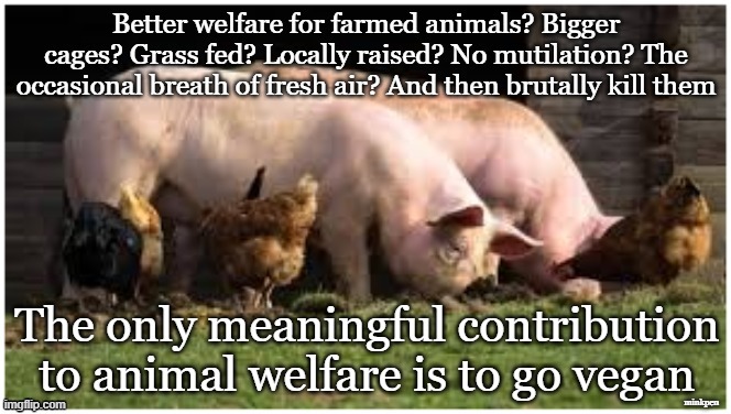 Animal Welfare - Go Vegan | minkpen | image tagged in vegan,farming,compassion,meat,cheese,eggs | made w/ Imgflip meme maker
