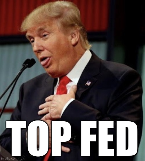Trump - The Fed's best witness against the Insurrectionists | TOP FED | image tagged in fed,trump,insurrection,capitol riot,militia,congress | made w/ Imgflip meme maker
