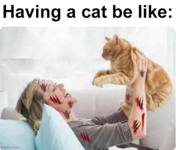 image tagged in funny memes | made w/ Imgflip meme maker
