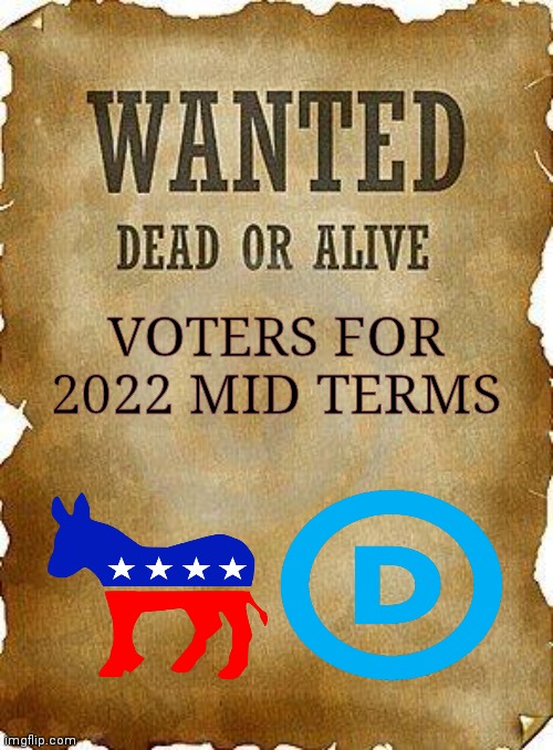 VOTERS FOR 2022 MID TERMS | made w/ Imgflip meme maker