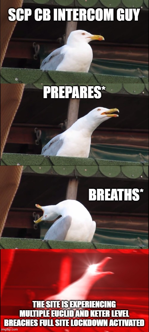 Inhaling Seagull | SCP CB INTERCOM GUY; PREPARES*; BREATHS*; THE SITE IS EXPERIENCING MULTIPLE EUCLID AND KETER LEVEL BREACHES FULL SITE LOCKDOWN ACTIVATED | image tagged in memes,inhaling seagull | made w/ Imgflip meme maker