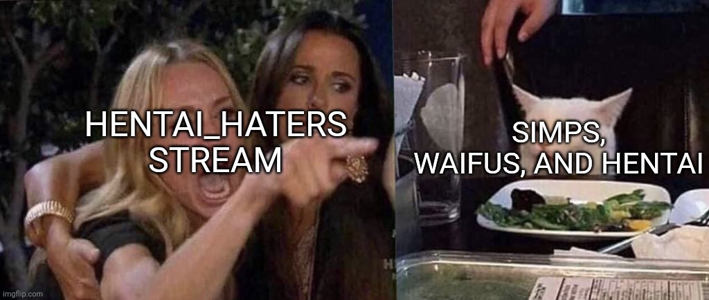 woman yelling at cat | HENTAI_HATERS STREAM SIMPS, WAIFUS, AND HENTAI | image tagged in woman yelling at cat | made w/ Imgflip meme maker