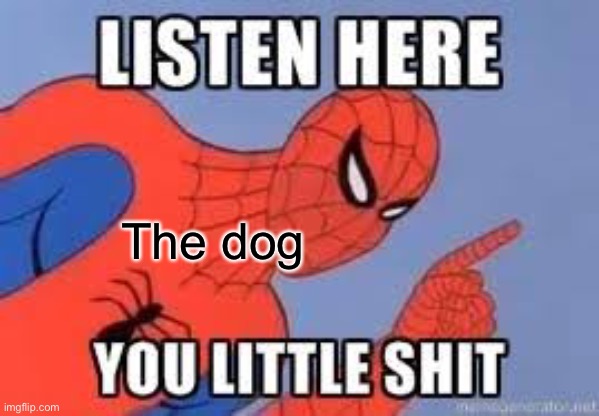 NOW LISTEN HERE YOU LITTLE SHIT | The dog | image tagged in now listen here you little shit | made w/ Imgflip meme maker