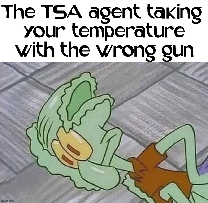 The TSA agent taking 
your temperature with the wrong gun | image tagged in blank white template,dark humor | made w/ Imgflip meme maker