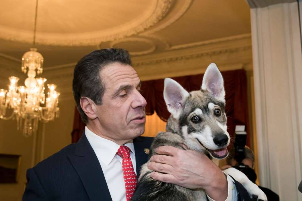 High Quality Cuomo and Dog Blank Meme Template
