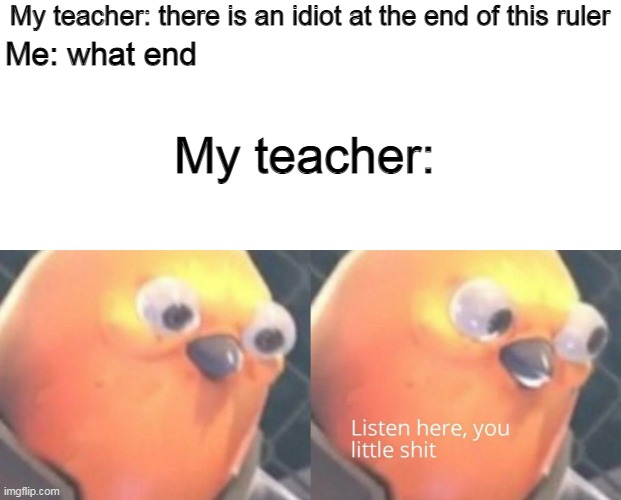Which end?? | My teacher: there is an idiot at the end of this ruler; Me: what end; My teacher: | image tagged in memes,school,school memes | made w/ Imgflip meme maker