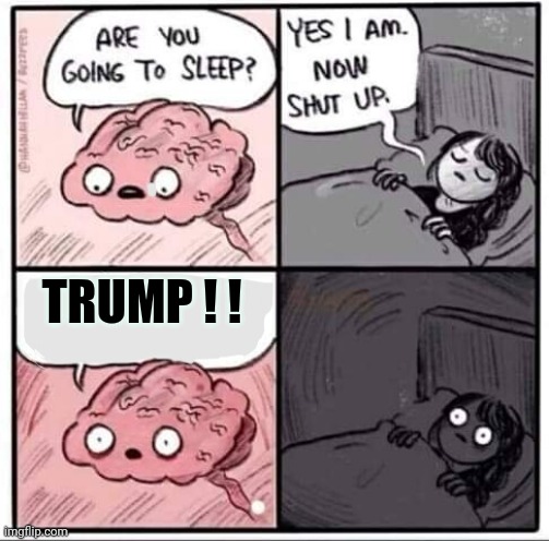 Are you going to sleep? | TRUMP ! ! | image tagged in are you going to sleep | made w/ Imgflip meme maker