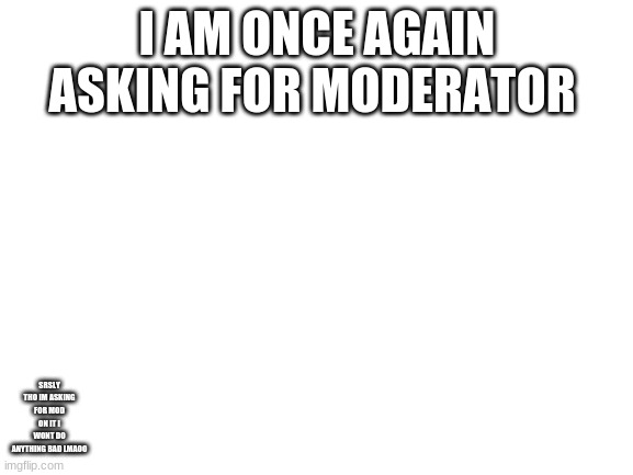 please tho | I AM ONCE AGAIN ASKING FOR MODERATOR; SRSLY THO IM ASKING FOR MOD ON IT I WONT DO ANYTHING BAD LMAOO | image tagged in blank white template | made w/ Imgflip meme maker