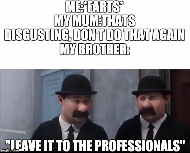 ME:*FARTS*
MY MUM:THATS DISGUSTING, DON'T DO THAT AGAIN
MY BROTHER:; "LEAVE IT TO THE PROFESSIONALS" | image tagged in blank white template,leave it to the professionals | made w/ Imgflip meme maker