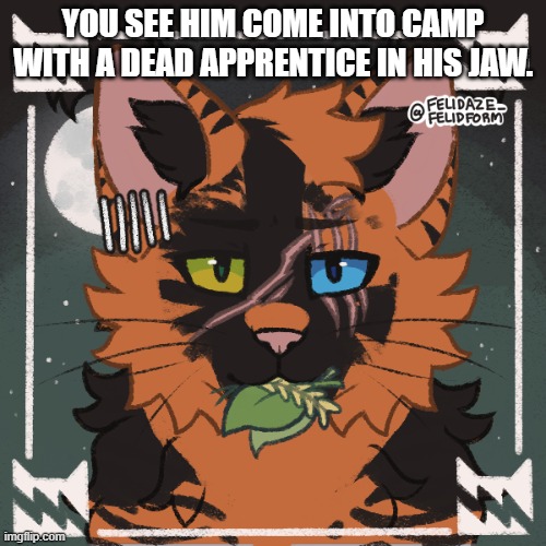 Worrior | YOU SEE HIM COME INTO CAMP WITH A DEAD APPRENTICE IN HIS JAW. | made w/ Imgflip meme maker