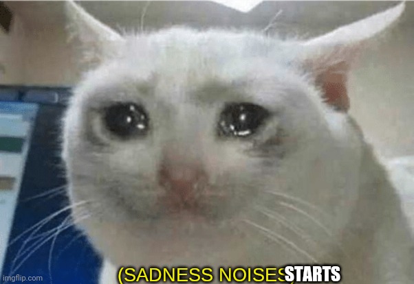 sadness noises | STARTS | image tagged in sadness noises | made w/ Imgflip meme maker
