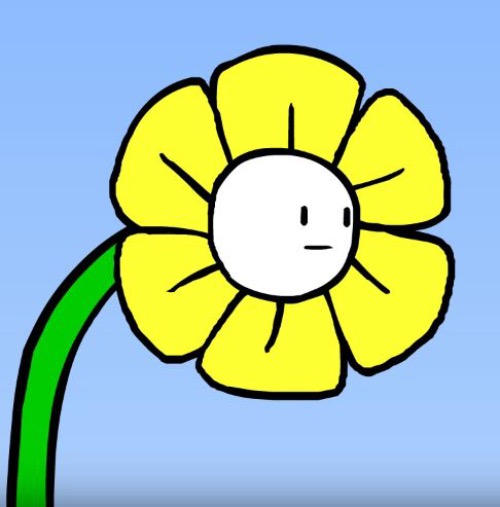 Wut Flowey | image tagged in wut flowey | made w/ Imgflip meme maker