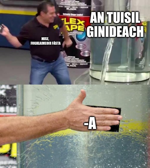 Flex Tape | AN TUISIL GINIDEACH; MISE, 
FOGHLAIMEOIR FÁSTA; -A | image tagged in flex tape,MemesAsGaeilge | made w/ Imgflip meme maker