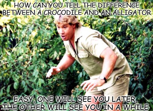 Daily Bad Dad Joke August 24 2021 | HOW CAN YOU TELL THE DIFFERENCE BETWEEN A CROCODILE AND AN ALLIGATOR; EASY, ONE WILL SEE YOU LATER, THE OTHER WILL SEE YOU IN A WHILE | image tagged in crocodile hunter steve irwin | made w/ Imgflip meme maker