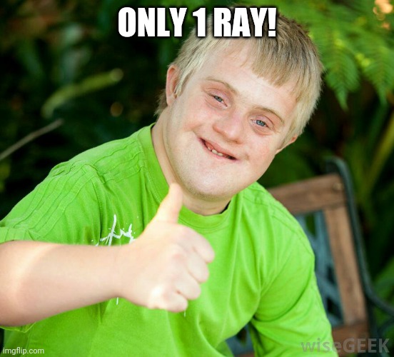 Terry handicapped | ONLY 1 RAY! | image tagged in terry handicapped | made w/ Imgflip meme maker