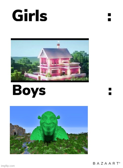 bruh | image tagged in boys vs girls,house,minecraft | made w/ Imgflip meme maker