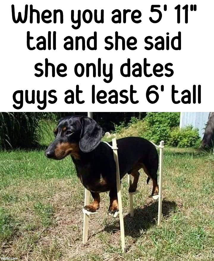 When you are 5' 11" 
tall and she said 
she only dates 
guys at least 6' tall | image tagged in tall | made w/ Imgflip meme maker