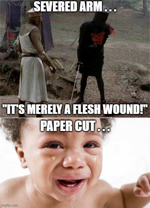 Truth. | SEVERED ARM . . . "IT'S MERELY A FLESH WOUND!"; PAPER CUT . . . | image tagged in flesh wound,paper cut,pain | made w/ Imgflip meme maker
