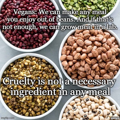Beans | minkpen | image tagged in vegan,beans,meat,cruel,dairy,climate change | made w/ Imgflip meme maker