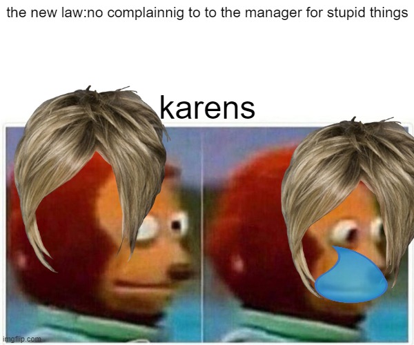 the perfrect life | the new law:no complainnig to to the manager for stupid things; karens | image tagged in memes,monkey puppet | made w/ Imgflip meme maker