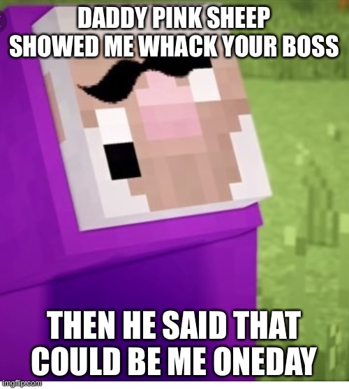 Purple Shep | DADDY PINK SHEEP SHOWED ME WHACK YOUR BOSS; THEN HE SAID THAT COULD BE ME ONEDAY | image tagged in purple shep | made w/ Imgflip meme maker