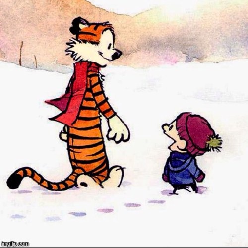 Calvin and hobbs | image tagged in calvin and hobbs | made w/ Imgflip meme maker