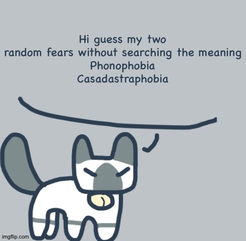 Cat | Hi guess my two random fears without searching the meaning
Phonophobia
Casadastraphobia | image tagged in cat | made w/ Imgflip meme maker