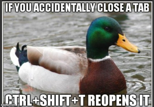 hope this helps | image tagged in actual advice mallard | made w/ Imgflip meme maker