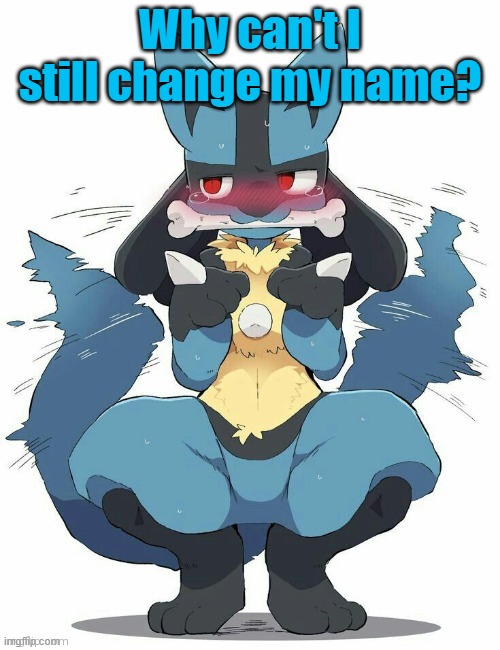 Lucario | Why can't I still change my name? | image tagged in lucario | made w/ Imgflip meme maker