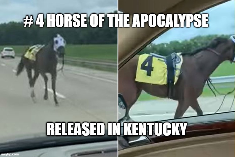 Racehorse runs along Kentucky highway after bucking rider, escaping track | # 4 HORSE OF THE APOCALYPSE; RELEASED IN KENTUCKY | image tagged in apocalypse | made w/ Imgflip meme maker