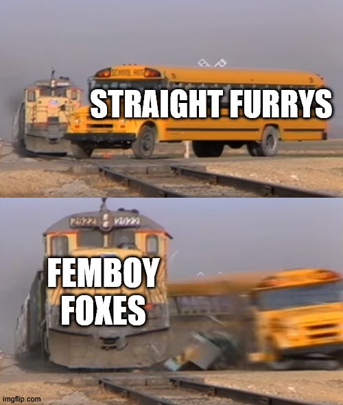 furry stuf | STRAIGHT FURRYS; FEMBOY FOXES | image tagged in a train hitting a school bus | made w/ Imgflip meme maker