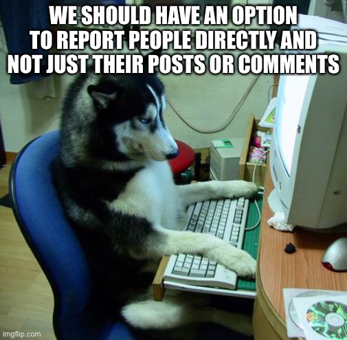 Please add this | WE SHOULD HAVE AN OPTION TO REPORT PEOPLE DIRECTLY AND NOT JUST THEIR POSTS OR COMMENTS | image tagged in memes,i have no idea what i am doing | made w/ Imgflip meme maker