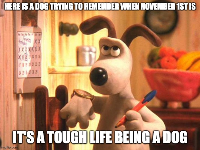 Wallace Calander | HERE IS A DOG TRYING TO REMEMBER WHEN NOVEMBER 1ST IS; IT'S A TOUGH LIFE BEING A DOG | image tagged in calander,wallace and gromit,memes | made w/ Imgflip meme maker
