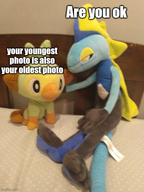 I think grookey is going insane | Are you ok; your youngest photo is also your oldest photo | image tagged in are you ok | made w/ Imgflip meme maker