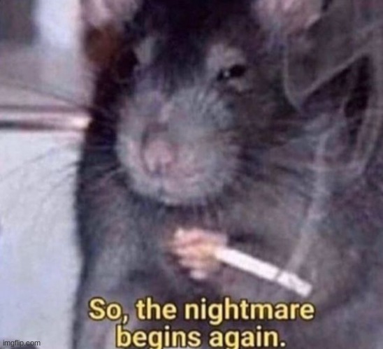 so the nightmare begins again | image tagged in so the nightmare begins again | made w/ Imgflip meme maker