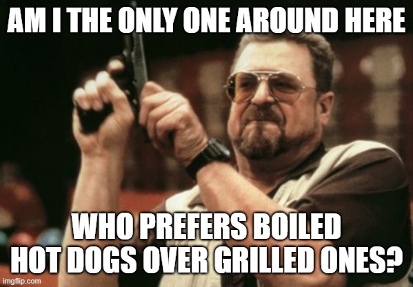 I probably am. |  AM I THE ONLY ONE AROUND HERE; WHO PREFERS BOILED HOT DOGS OVER GRILLED ONES? | image tagged in memes,am i the only one around here,hot dogs,grill,unpopular opinion,funny | made w/ Imgflip meme maker