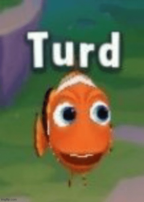turd | image tagged in turd | made w/ Imgflip meme maker