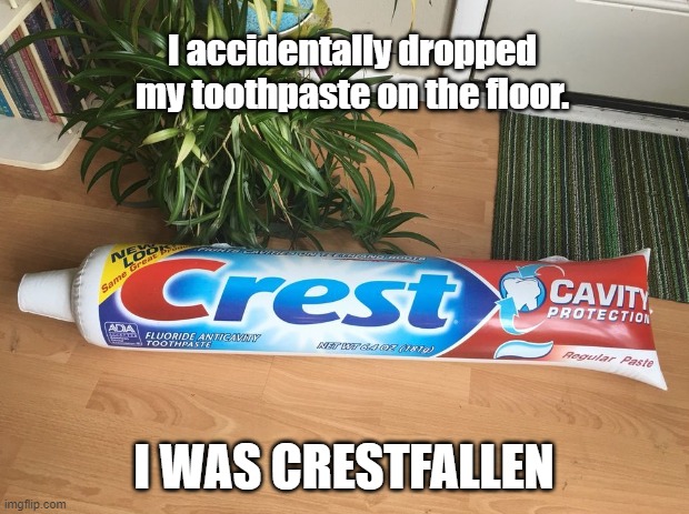 Dropped my toothpaste | I accidentally dropped my toothpaste on the floor. I WAS CRESTFALLEN | image tagged in toothpaste,pun | made w/ Imgflip meme maker