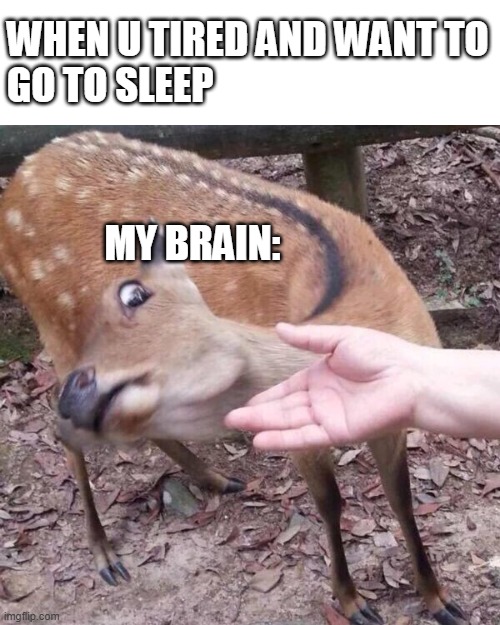 nope | WHEN U TIRED AND WANT TO
GO TO SLEEP; MY BRAIN: | image tagged in nope,tired | made w/ Imgflip meme maker
