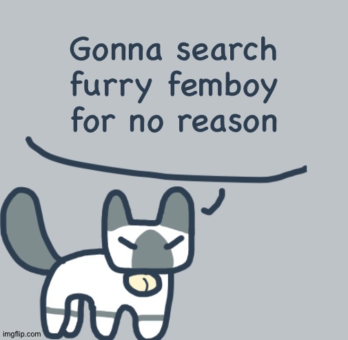 Cat | Gonna search furry femboy for no reason | image tagged in cat | made w/ Imgflip meme maker