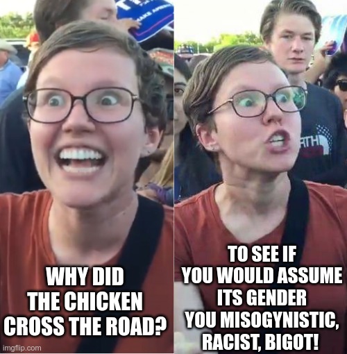 They've ruined comedy | TO SEE IF YOU WOULD ASSUME ITS GENDER YOU MISOGYNISTIC, RACIST, BIGOT! WHY DID THE CHICKEN CROSS THE ROAD? | image tagged in liberal lobic | made w/ Imgflip meme maker