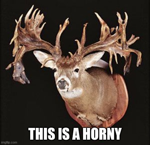THIS IS A HORNY | made w/ Imgflip meme maker