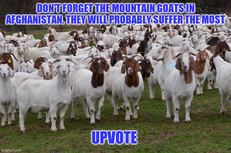 DON'T FORGET THE MOUNTAIN GOATS IN AFGHANISTAN. THEY WILL PROBABLY SUFFER THE MOST UPVOTE | made w/ Imgflip meme maker